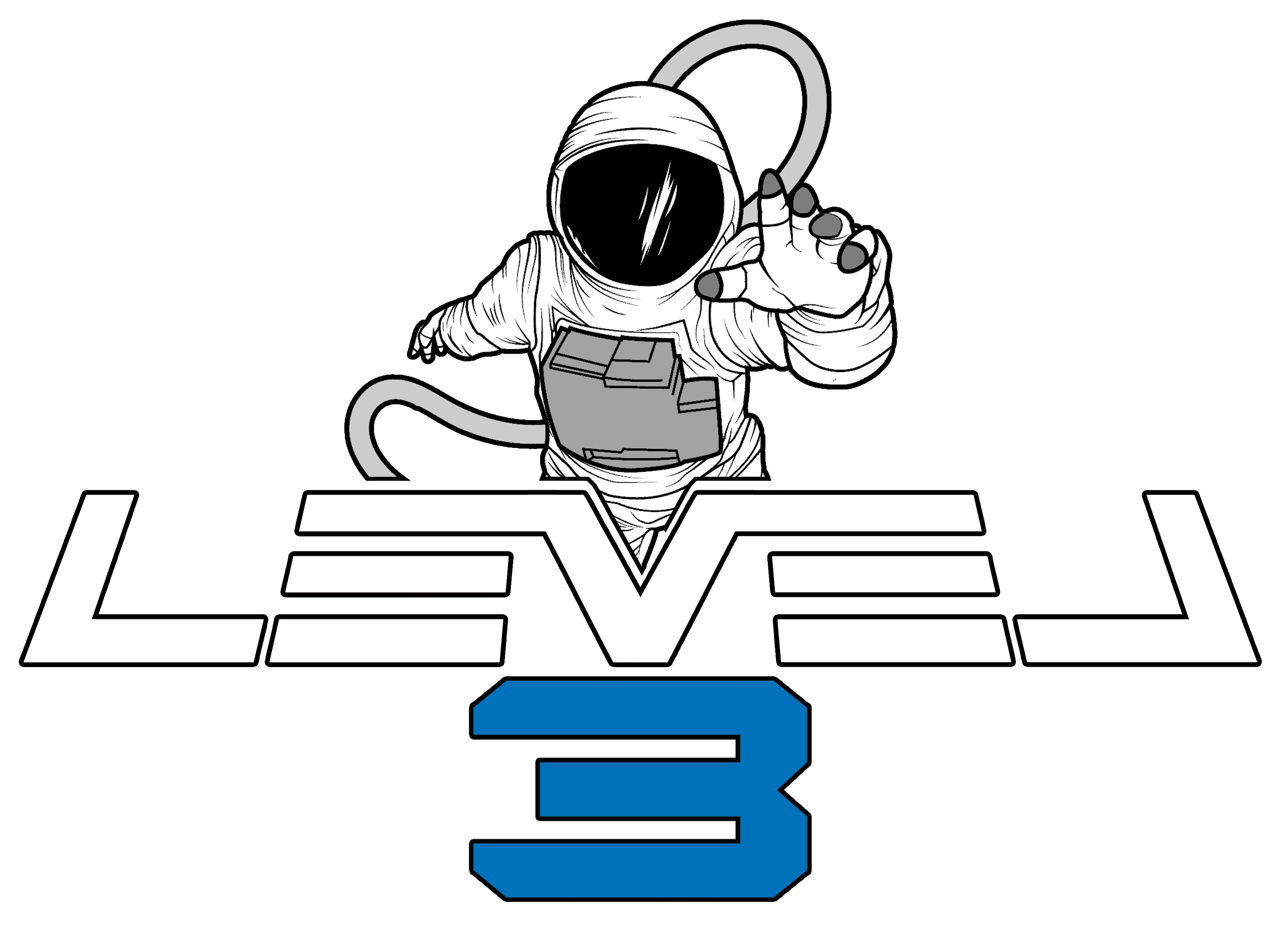 Level 3